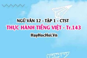 Soạn bài Thực hành Tiếng Việt trang 143 Ngữ văn 12 Chân trời sáng tạo